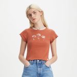 Levi's? Women's Graphic Dry Goods Short Sleeve T-Shirt