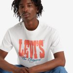 Levi's? Men's Vintage Fit Graphic T-Shirt