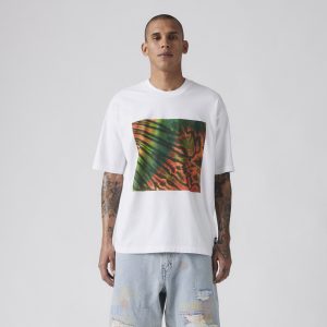 Levi's? Skateboarding Men's Graphic Boxy T-Shirt